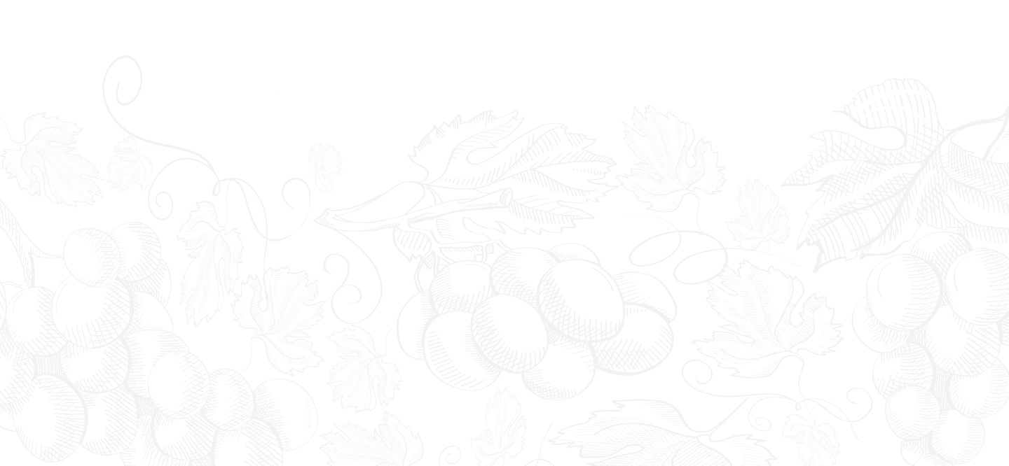Section overlay image